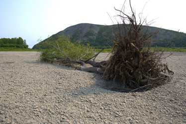 Similar image 21557245