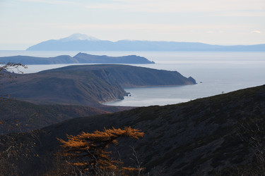 Similar image 21557249