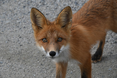 Similar image 21557250