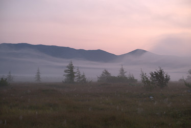 Similar image 21557251