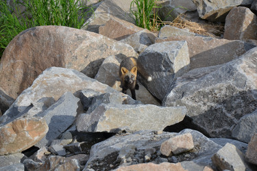 Similar image 21557252