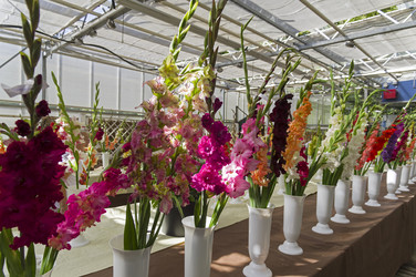 Similar image 21554605