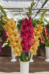 Similar image 21554607