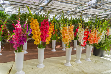 Similar image 21554608