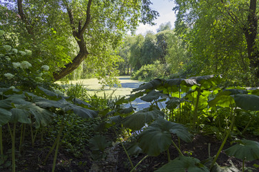 Similar image 21554610