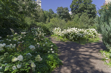 Similar image 21554611