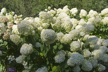 Similar image 21554612