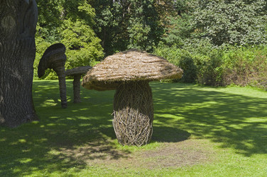 Similar image 21554613