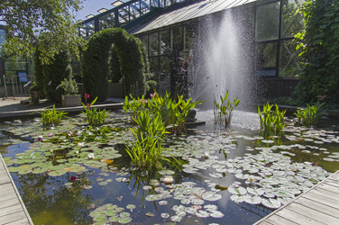 Similar image 21554615