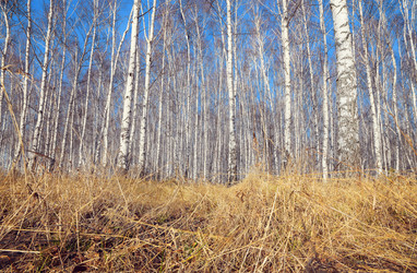 Similar image 21554759