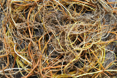 Similar image 21554764