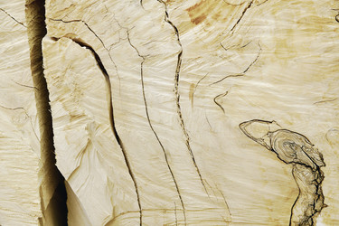 Similar image 21554765