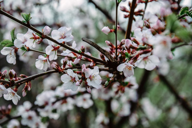 Similar image 21555196