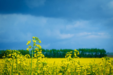 Similar image 21555198