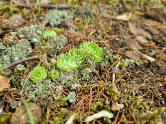 Similar image 21555200