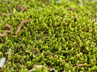 Similar image 21555202