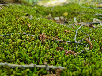 Similar image 21555203