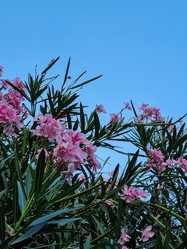 Similar image 21555278