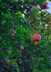 Similar image 21555279