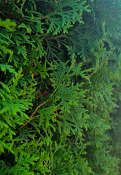 Similar image 21555290