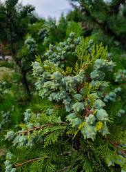 Similar image 21555292