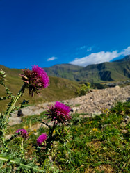 Similar image 21555293