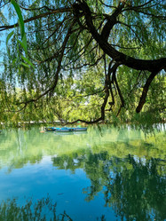 Similar image 21555295