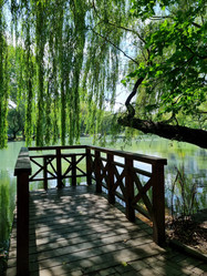 Similar image 21555296