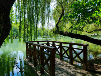 Similar image 21555298