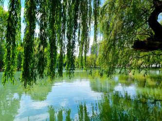 Similar image 21555299