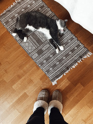 Similar image 21559382