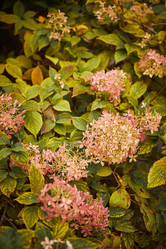 Similar image 21555839