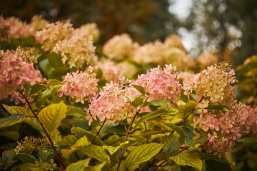 Similar image 21555840