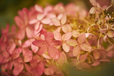 Similar image 21555841