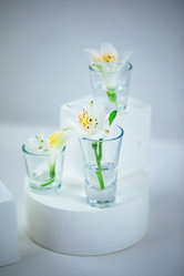 Similar image 21555842