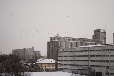 Similar image 21555530