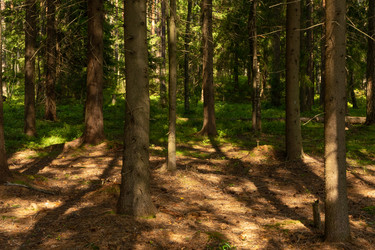 Similar image 21555537