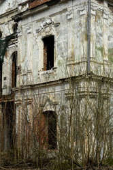 Similar image 21555310