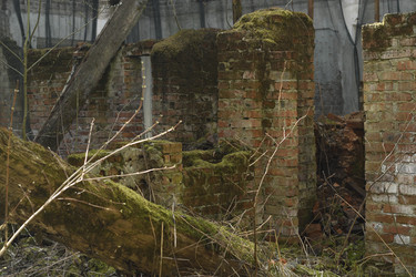 Similar image 21555315