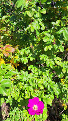 Similar image 21555020