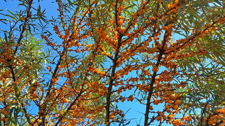 Similar image 21555021