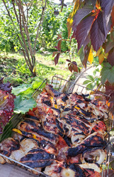 Similar image 21555022