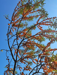 Similar image 21555023