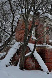 Similar image 21555325