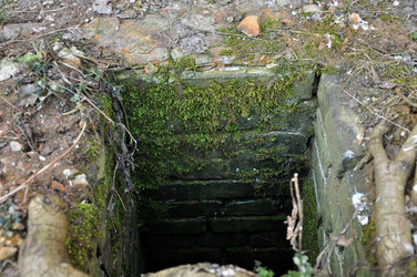 Similar image 21555340