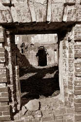 Similar image 21555442