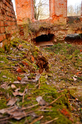 Similar image 21555443