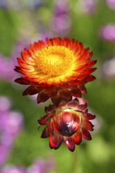 Similar image 21555548