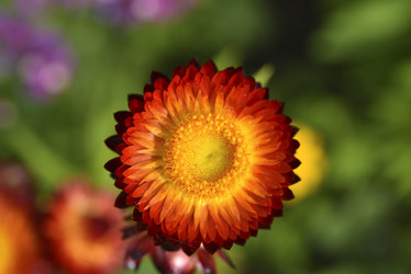 Similar image 21555549