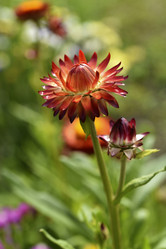 Similar image 21555552